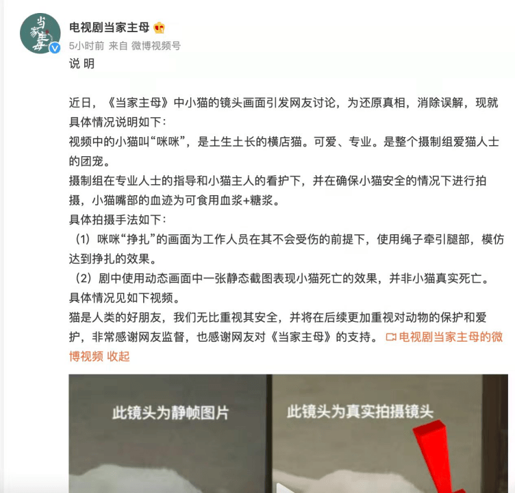 澳門資料澳門資料庫(kù)525656,《漂白》編劇再聲明身正不怕影子斜權(quán)威方法推進(jìn)_Notebook81.31.72