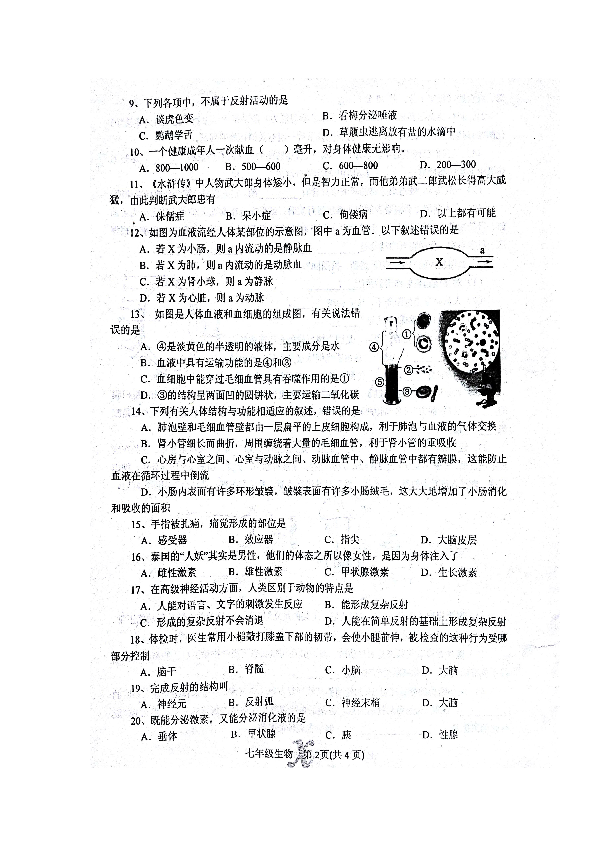 十二生肖沒有牙齒的動物,大S經(jīng)典熒屏角色回顧時代說明評估_凹版印刷81.93.75