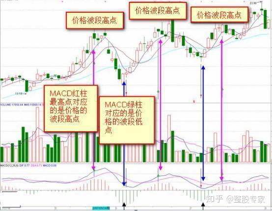 2025年2月 第80頁