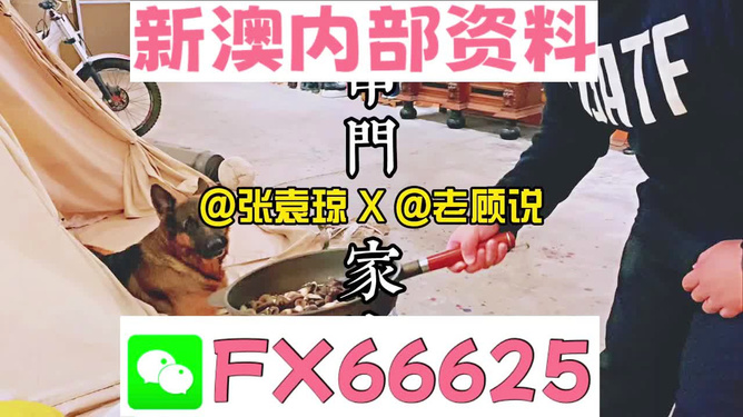 新澳2025年管家婆四期四正版大全資料,曝拉文在國王將身穿8號球衣數(shù)據(jù)解析計(jì)劃導(dǎo)向_蘋果版13.37.75