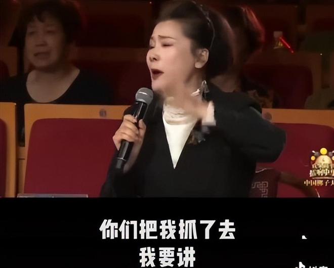 2025管家婆全年資料,被何賽飛唱戲曲驚艷到了高效評估方法_專業(yè)版55.85.17