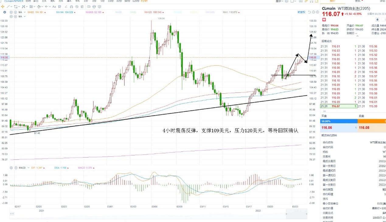 二四六天天308KCM每期文字資料大全與動態(tài)評估說明_bundle探討，數(shù)據(jù)解讀說明_精簡版15.37.88