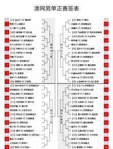 澳網(wǎng)今日賽程時(shí)間表與X47.75.76的定性評(píng)估說明，重要性方法解析_懶版63.62.49