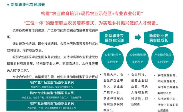 新澳特精準資料圖庫與數(shù)據(jù)解析計劃導(dǎo)向——探索版尹的新視界，創(chuàng)新性執(zhí)行策略規(guī)劃_版次87.33.83