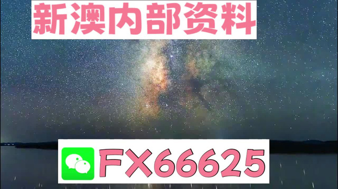 新澳門天天彩資料大全2024年資料分析與高效計劃設計探索——以版尹76.33.62為視角，專業(yè)分析解析說明_挑戰(zhàn)款19.86.29